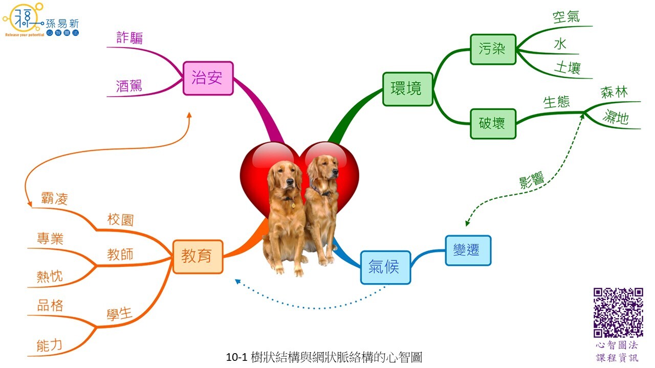 10 1 樹狀結構與網狀脈絡構的心智圖 孫易新心智圖法
